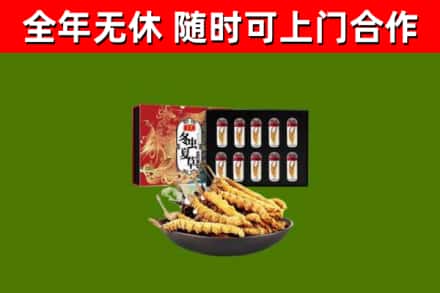 阎良区烟酒回收冬虫夏草礼盒.jpg