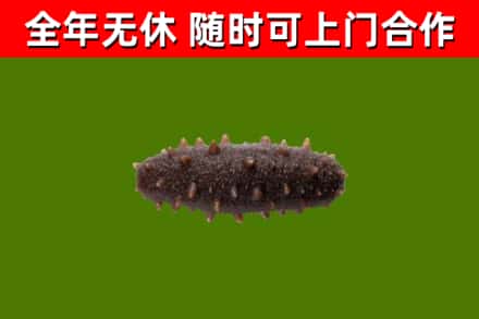 阎良区烟酒回收干海参.jpg